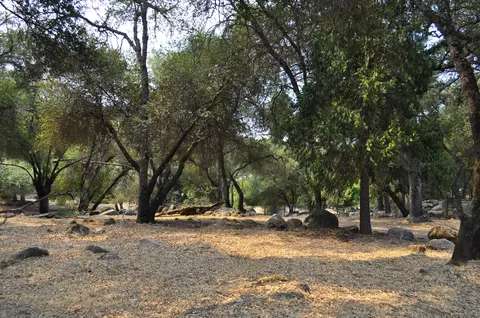 Exterior - 43777 Kaweah River Dr, Three Rivers, CA 93271 photo 21 of 36