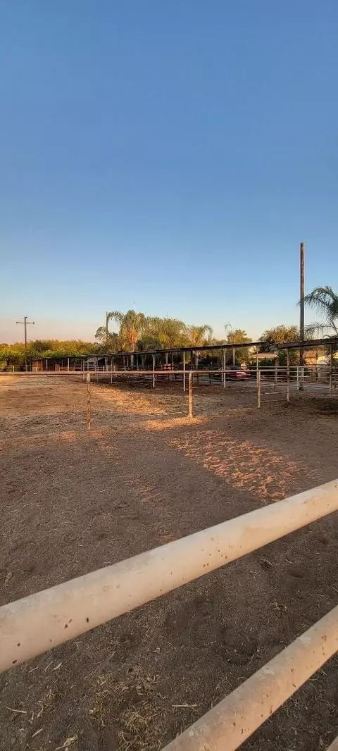 20088 Ave 262, Exeter, CA 93221 photo 13