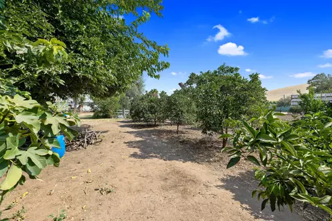 646 S Spruce Rd, Exeter, CA 93221 photo 16