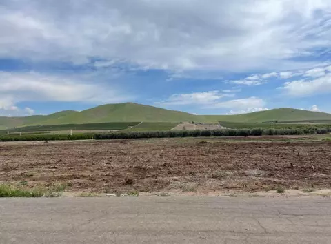 20467 Road 252, Strathmore, CA 93267 photo 7