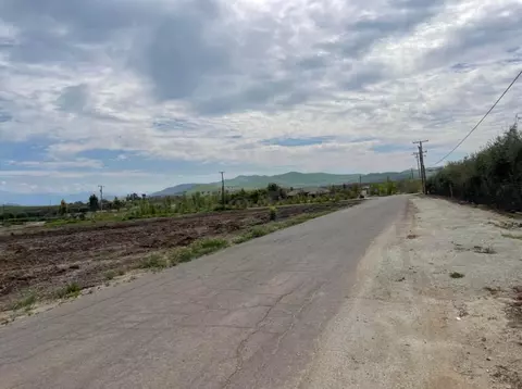 20467 Road 252, Strathmore, CA 93267 photo 8