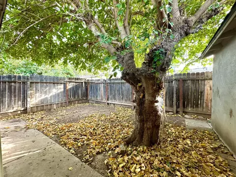 922 E St, Reedley, CA 93654 photo 24