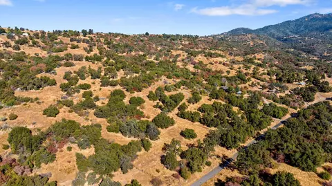 000 Whitaker Forrest Rd, Badger, CA 93603 photo 12