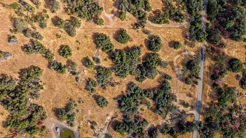000 Whitaker Forrest Rd, Badger, CA 93603 photo 8