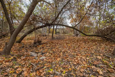 42490 N N Kaweah River Dr, Three Rivers, CA 93271 photo 83
