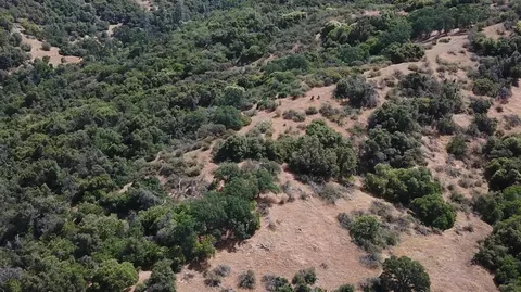 15 Acres, Miramonte, CA 93641 photo 9