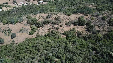 15 Acres, Miramonte, CA 93641 photo 8