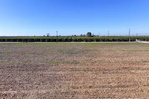 Avenue 344, Ivanhoe, CA 93235 photo 10