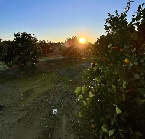 0 E Marinette, Exeter, CA 93221 photo 10