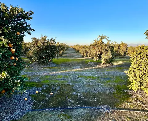 0 E Marinette, Exeter, CA 93221 photo 5
