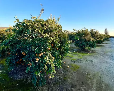 0 E Marinette, Exeter, CA 93221 photo 3