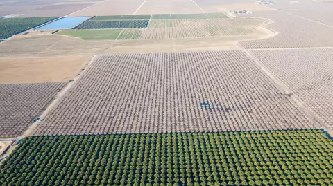 Bassett Avenue, Delano, CA 93215