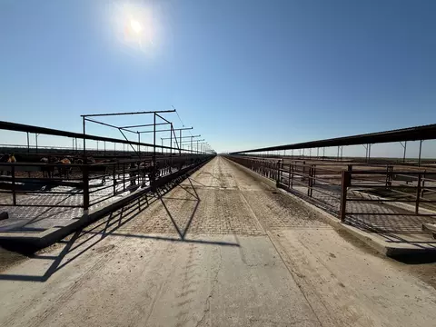 11951 Rd 96, Pixley, CA 93256