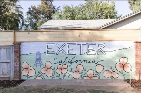 314 Lenox Ave, Exeter, CA 93221 photo 20