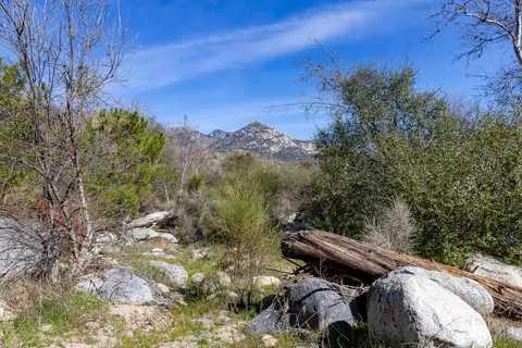 44595 Dinely Dr, Three Rivers, CA 93271 photo 40