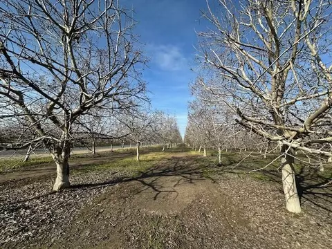 Ave 128 SE West Of Rd 184 Se, Porterville, CA 93257