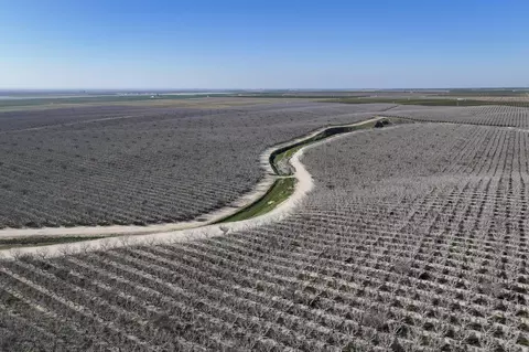 Quality Road, Bakersfield, CA 93308 photo 7