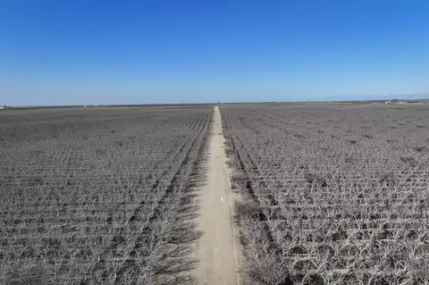 Quality Road, Bakersfield, CA 93308 photo 8
