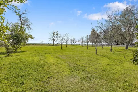 Exterior - 9678 Elder Ave, Hanford, CA 93230 photo 10 of 46