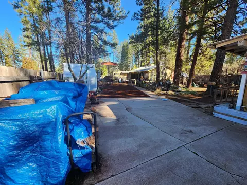 37388 Bailey Ave, Burney, CA 96013 photo 6
