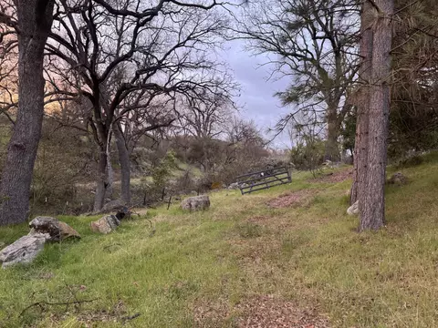 1440 Whitaker Forest Rd, Badger, CA 93603 photo 16