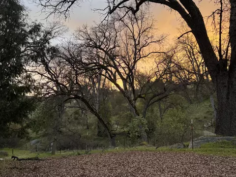 1440 Whitaker Forest Rd, Badger, CA 93603 photo 37