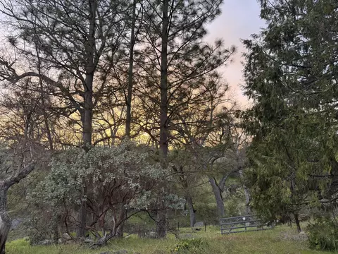 1440 Whitaker Forest Rd, Badger, CA 93603 photo 33