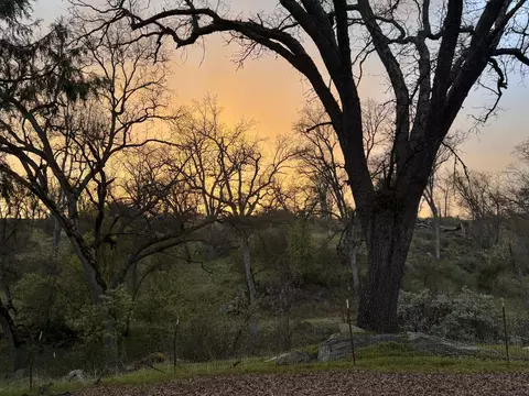 1440 Whitaker Forest Rd, Badger, CA 93603 photo 54