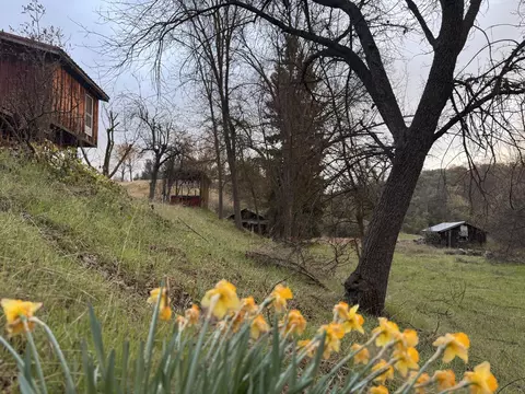 1440 Whitaker Forest Rd, Badger, CA 93603 photo 8