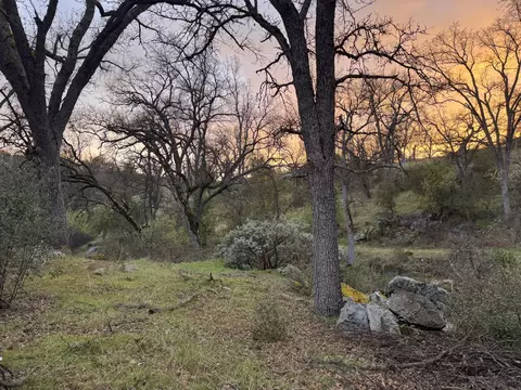1440 Whitaker Forest Rd, Badger, CA 93603 photo 41