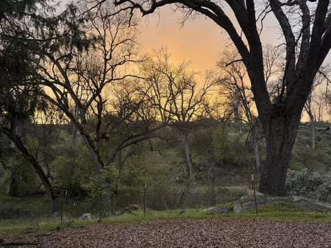 1440 Whitaker Forest Rd, Badger, CA 93603 photo 55