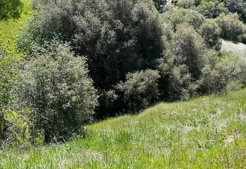 27 28 Capanero Oaks Ct, California Hot Springs, CA 93207