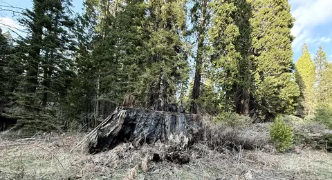 Sequoia Drive, Springville, CA 93265 photo 7