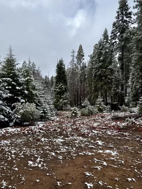 Sequoia Drive, Springville, CA 93265 photo 13