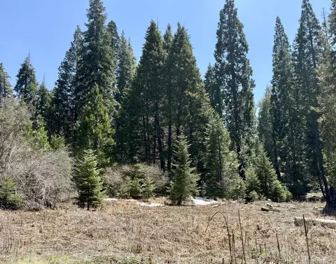 Sequoia Drive, Springville, CA 93265 photo 11