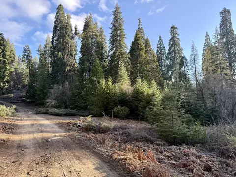 Sequoia Drive, Springville, CA 93265 photo 5