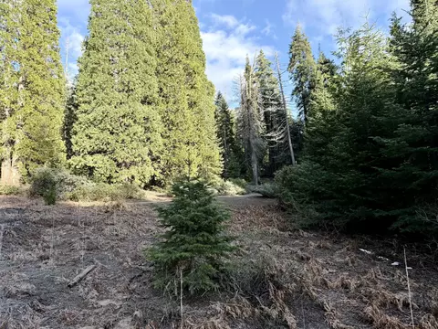 Sequoia Drive, Springville, CA 93265 photo 6