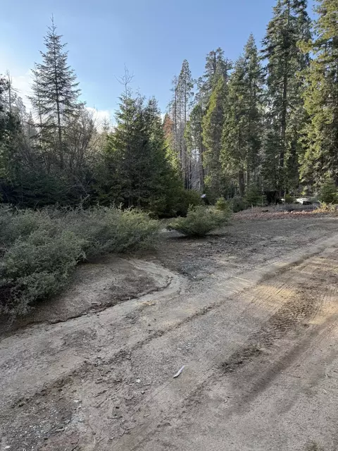 Sequoia Drive, Springville, CA 93265 photo 3