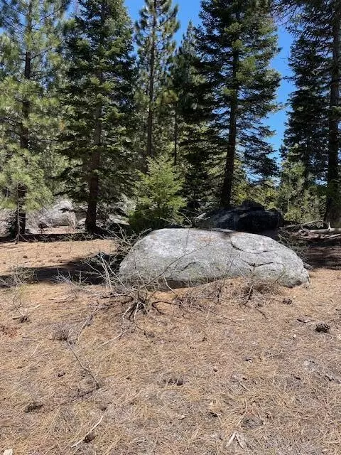 58303 Carter Dr, Ponderosa, CA 93265