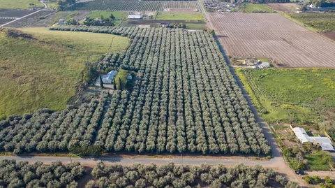 Avenue 234, Lindsay, CA 93247