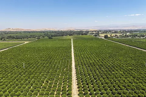 Other - 18746 California 198, Exeter, CA 93221 photo 2 of 11