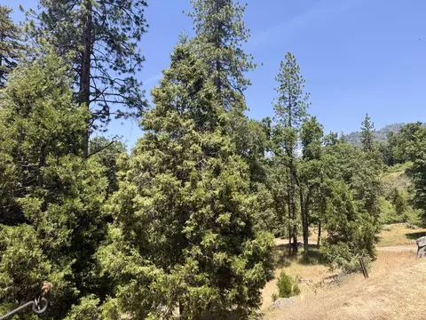 Other - 51911 Hogback Rd, Miramonte, CA 93641 photo 4 of 9