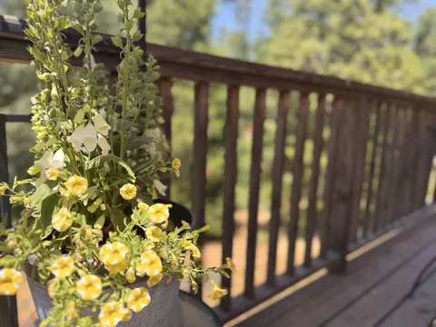 Exterior - 51911 Hogback Rd, Miramonte, CA 93641 photo 5 of 16