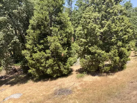 Exterior - 51911 Hogback Rd, Miramonte, CA 93641 photo 9 of 16
