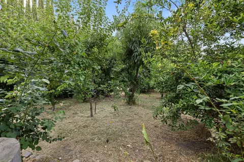 620 E Tulare Ave, Visalia, CA 93292 photo 61