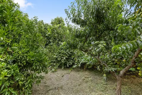 620 E Tulare Ave, Visalia, CA 93292 photo 58