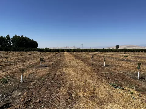 Other - Hwy 216, Ivanhoe, CA 93235 photo 7 of 9
