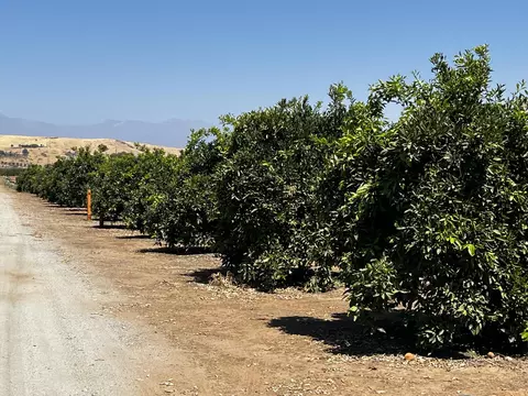 Exterior - Hwy 216, Ivanhoe, CA 93235 photo 1 of 3