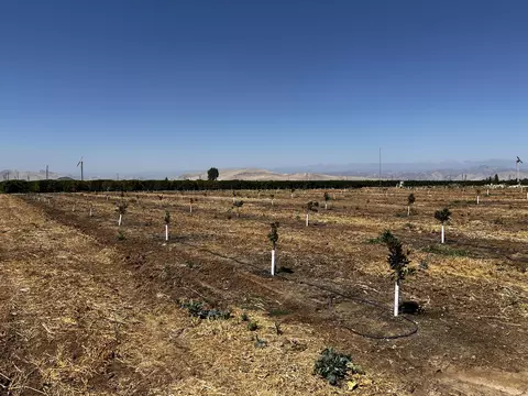 Other - Hwy 216, Ivanhoe, CA 93235 photo 3 of 9