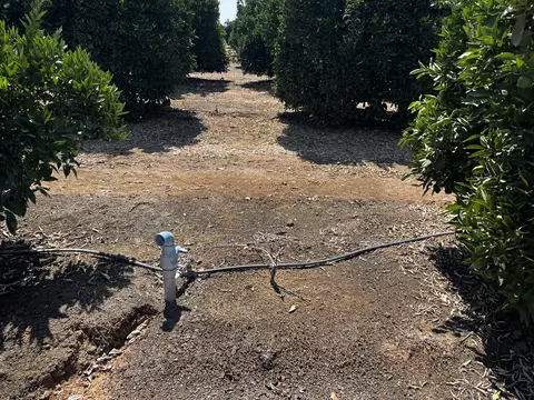 Other - Hwy 216, Ivanhoe, CA 93235 photo 9 of 9